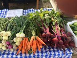 Hibbing Farmers Market